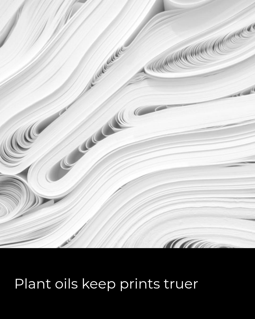Surprising fact: early conservation tests showed that soybean- and linseed-based pigment inks can age with less yellowing in the binder layer than some solvent-derived inks, because botanical oils oxidize into a more transparent, cross-linked film—helping limited-edition prints keep true midtones longer without appearing muddy. 🌿🖨️✨

At chromaticpress, we use soy and linseed pigment formulas to preserve midtone clarity and ensure our limited runs stay vivid through handling and display.

Our profile link takes you straight there. 🚀

#ArtPrints #Conservation #Printmaking #SustainableInks #Midtones #SoyLinseed #BotanicalInks
