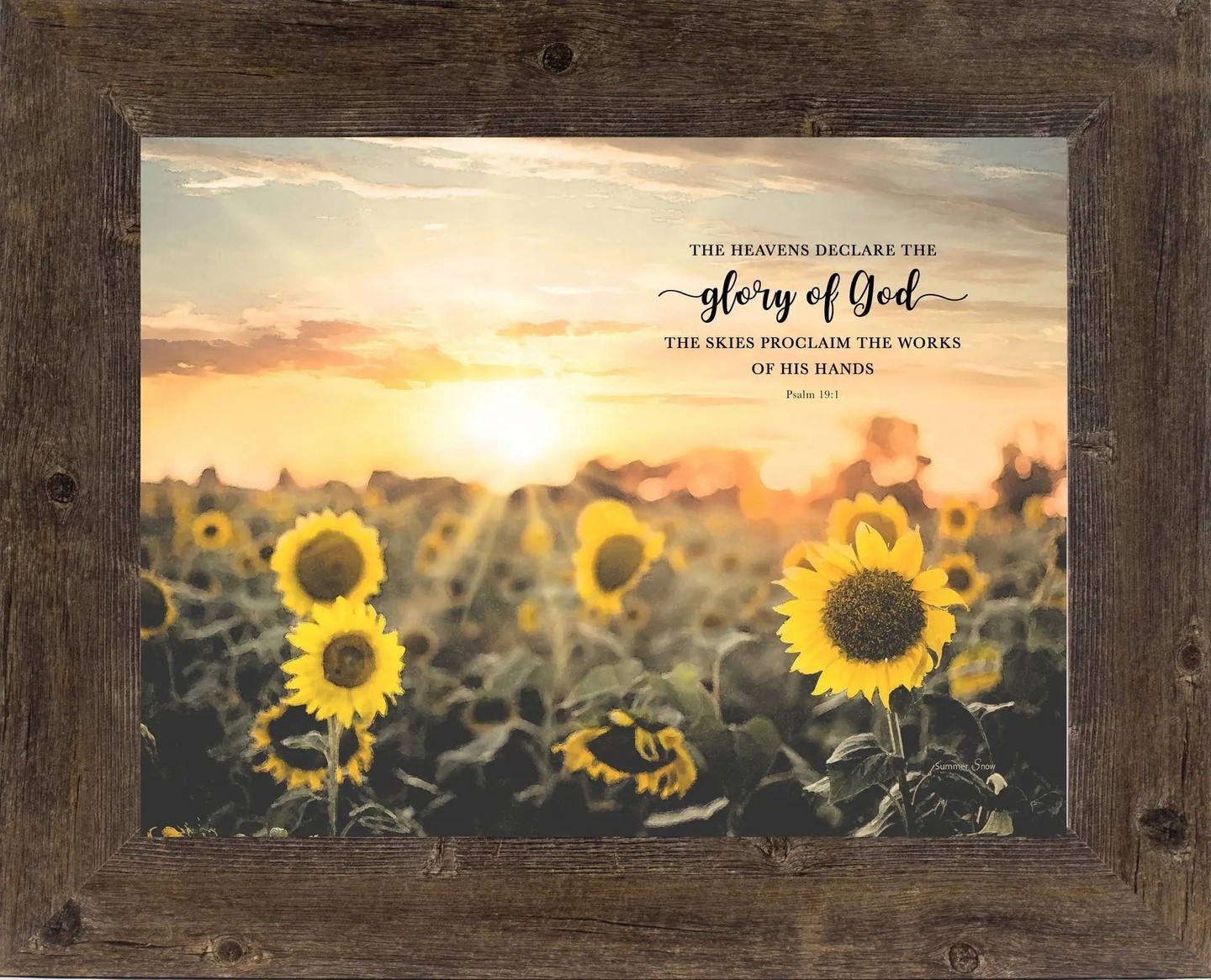 Divine inspiration transforms any space into a sanctuary of faith and natural beauty.

This stunning sunflower field artwork captures the majesty of creation with vibrant, uplifting imagery. Available in four sizes—from intimate 8x10" to bold 22x28"—each piece arrives fully framed and ready to hang.

Our textured, canvas-like coating is UV protected and moisture resistant, ensuring your art stays radiant for years. Made proudly in the USA.

https://ssdlr.shop/l/8080d2ce

#ChristianArt #SunflowerDecor #FaithHome #WallArt #USAMade