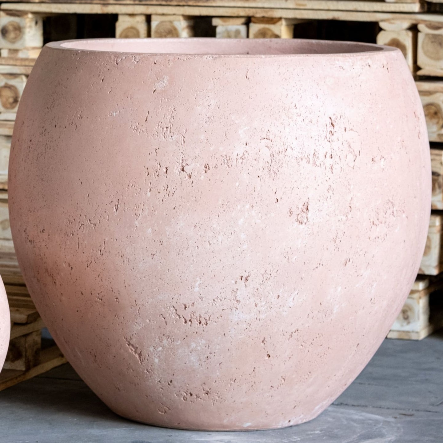 686 litres of planting potential in one stunning sculptural statement.

The Orbello Blushstone sphere transforms any space into a gallery-worthy garden moment. This XXL concrete planter holds dramatic trees and layered foliage displays with its commanding 110cm silhouette.

Perfect for grand entrances, sprawling terraces, or those show-stopping focal points you've been dreaming about.

Available now for £1,299.95

https://jobuhome.com/products/orbello-blushstone-extra-large-sphere-tree-planter-686-l-round

#OrbelloPlanter #GardenStatement #ConcreteDesign #LandscapeInspo #GardenGoals