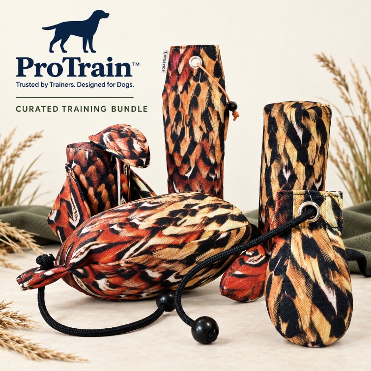 Experience significant cost savings and enhanced Dog Training with our expertly Curated Bundles. https://tinyurl.com/ProTrain-Curated. #gundogcatalogue #dogtrainer #protrain #dogtraining #puppytraining