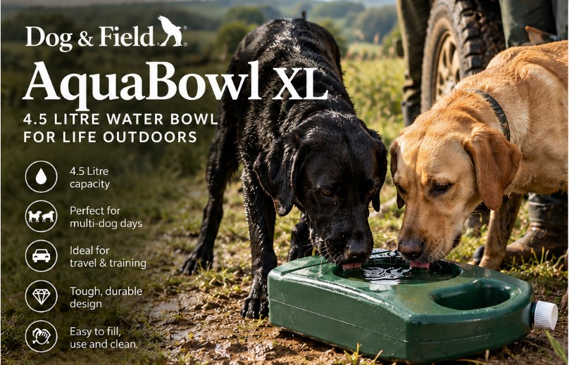 Unlock a day of limitless adventure with your best friends! 💧 Introducing the Dog & Field AquaBowl XL, a game-changing solution that streamlines your outdoor escapades. This innovative 4.5-litre water reservoir and drinking bowl combo is designed to keep your dogs hydrated and happy, no matter the activity. Ditch the hassle of separate containers and bowls, and simply squeeze to quench their thirst. Empower your adventures and make every day a walk in the park! 🌳
#pheasantshooting #doglife #dogsofinstagram #DogHydration #dogwalking #dogtraining #dogandfield