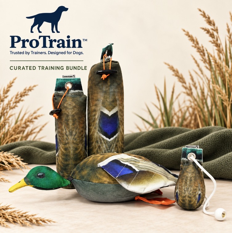 NEW: ProTrain™ Curated Training Bundles 🐾

Train for the bird, not just the retrieve.

Our new Cock Pheasant, Hen Pheasant, Mallard and Wood Pigeon bundles bring together complementary Dog & Field Original Clone® training dummies in complete quarry-specific systems.

✓ Progressive weights and shapes
✓ More varied training sessions
✓ Realistic quarry-specific designs
✓ Savings of up to £22.92
✓ Curated by ProTrain™

Add a ProTrain™ field essential to complete your setup—and receive free UK delivery when your basket reaches £60.

Which quarry are you preparing your dog for?
