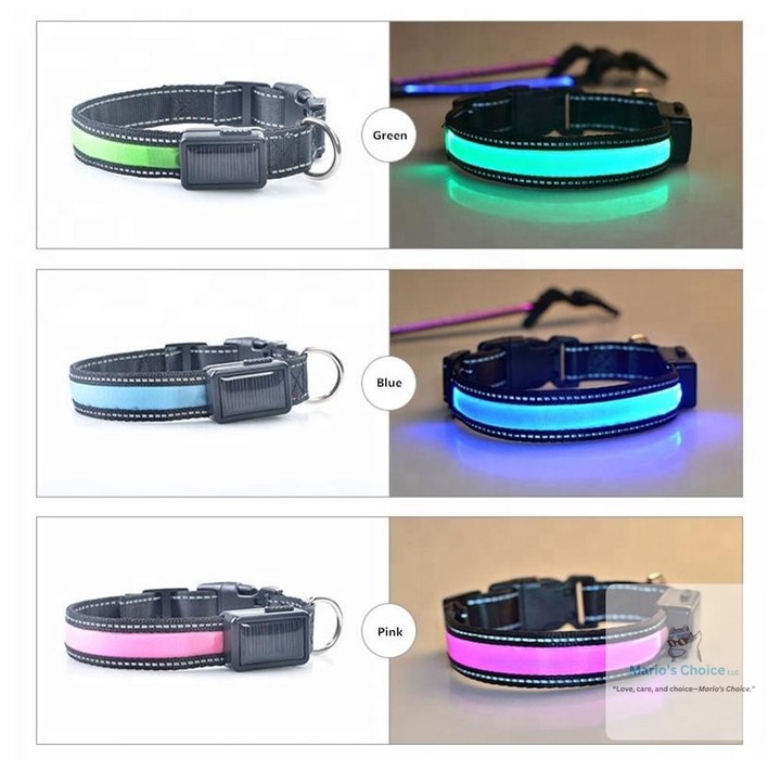 Your pup deserves to be seen on every adventure. This rechargeable LED collar keeps them safe and visible during evening walks with dual charging (solar + USB) and two light modes. Waterproof, reflective, and built to last.

#DogSafety #LEDDogCollar #NightWalks #PetAccessories #RechargeableCollar