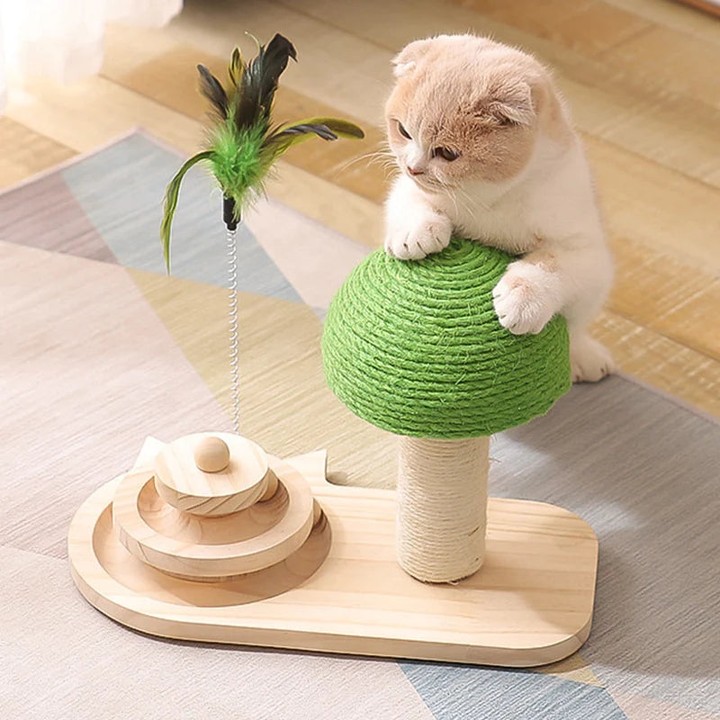 New In Stock! Discover the exceptional Interactive Cat Scratching Post with Feather Toy & Rolling Balls, now at an unmatched price of $43.97
#petparents #petlife #petsupplies #pethygiene #pettoys #petfood #petgrooming #petlove #petaccessories #pethappiness