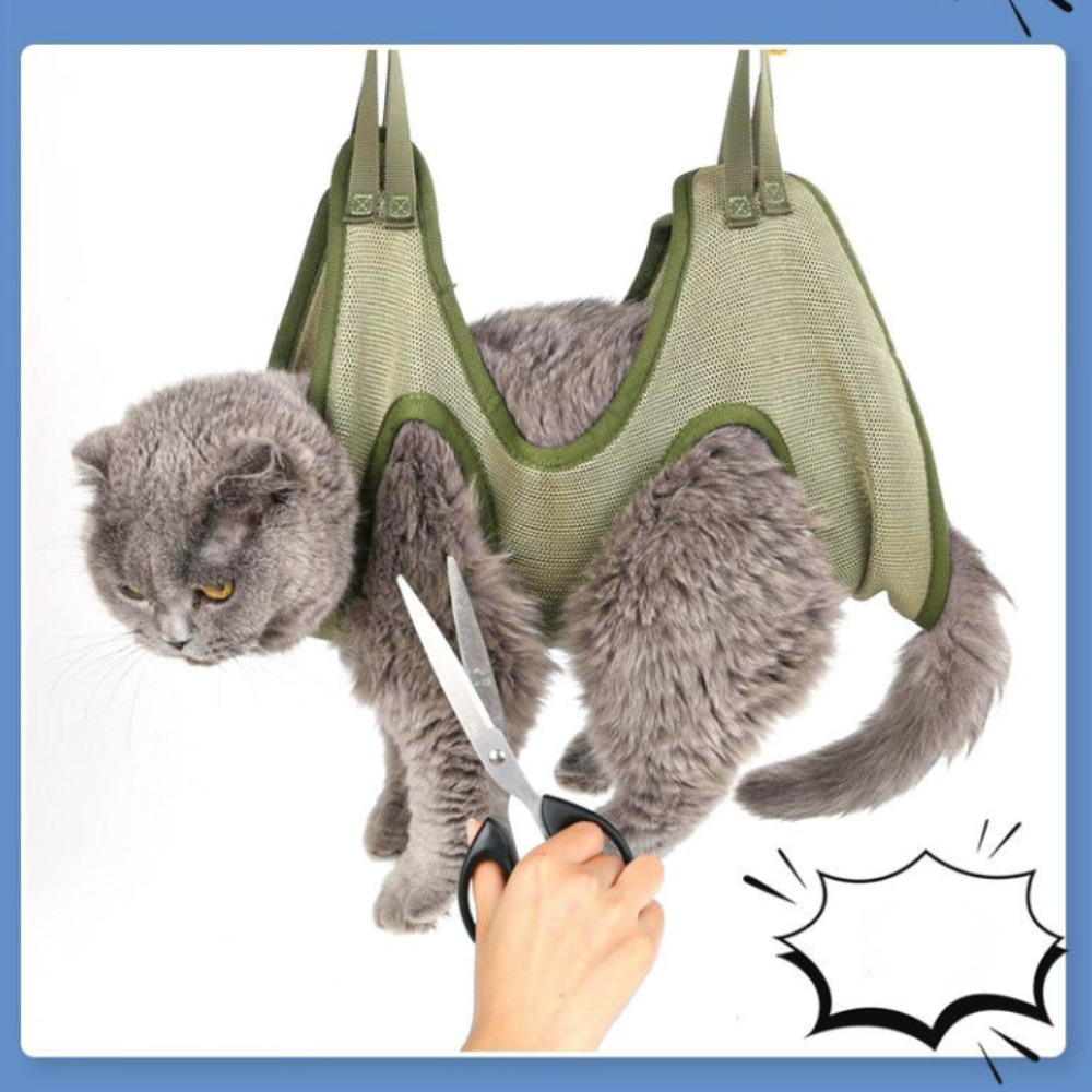 Exclusive deal alert! Cat Grooming Hammock & Restraint Bag – Safe, Comfortable Grooming Aid for Cats, available for a limited time at the incredible price of $54.99 
#petwellness #petgrooming #petsupplies #petproducts #petfood #pettoys #petaccessories #pethappiness #petshop #petcare