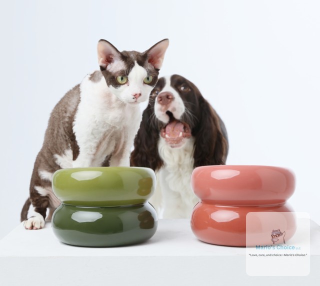 Your pet deserves mealtime that feels good. This elevated comfort bowl features an ergonomic angle that reduces neck strain and promotes natural posture while eating. The stable, anti-slip base keeps it in place, and the seamless design means zero food traps—just quick, easy cleaning.

#ComfortPetBowl #ElevatedFeeder #PetHealth #ErgonomicDesign #HappyPets