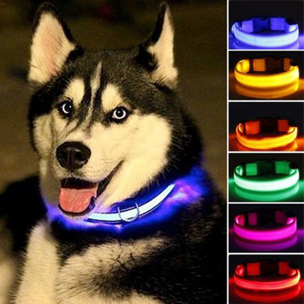 ✨ This collar just leveled up your night walks! 🌙 

Introducing our 2 PCS Nylon LED Dog Collar – the ultimate safety accessory for your furry friend! 🐶💖 Available in multiple sizes & colors, these collars not only brighten up your evening strolls but also ensure your pup is seen and stylish. With a comfortable yet durable design, they fit seamlessly into your daily adventures, keeping your pet safe and looking fabulous! 🌈✨ 

Light up your walks for just $23.99, and let your beloved companion shine bright! 🐾💡 

#DogLovers #PetSafety #LEDCollar #NightWalks #DogsOfInstagram #PetAccessories #HappyPets #PetCare #FashionablePets #Mario’sChoice