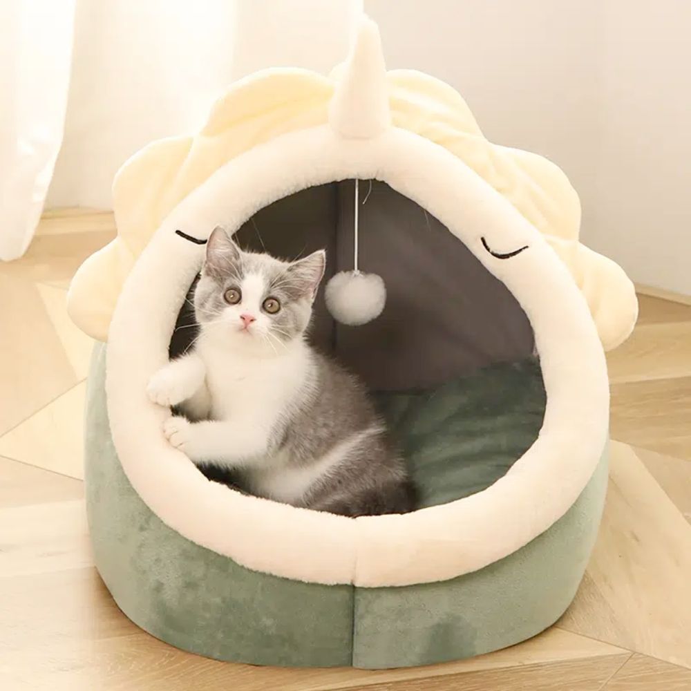 🦕 Just like this dino, your pet deserves a cozy cave to crash in! 

Transform your furry friend’s nap time with our Adorable Dinosaur Pet House! 💤💕 With its soft padded bed and cheerful, playful design, it’s the perfect haven for cats and small dogs to lounge, play, and dream. Imagine them snuggled up in this vibrant dino den, feeling all the comfort and joy—your pet may never want to leave! 🌈🐾 

Hurry, only a few left at just $59.99! Make their comfort a priority before they’re all gone! 🛒✨ 

#PetLove #DinosaurHouse #CozyPets #CatsOfInstagram #DogsofInstagram #PetAccessories #HomeForPets #FurryFriends #PetComfort #ShopNow