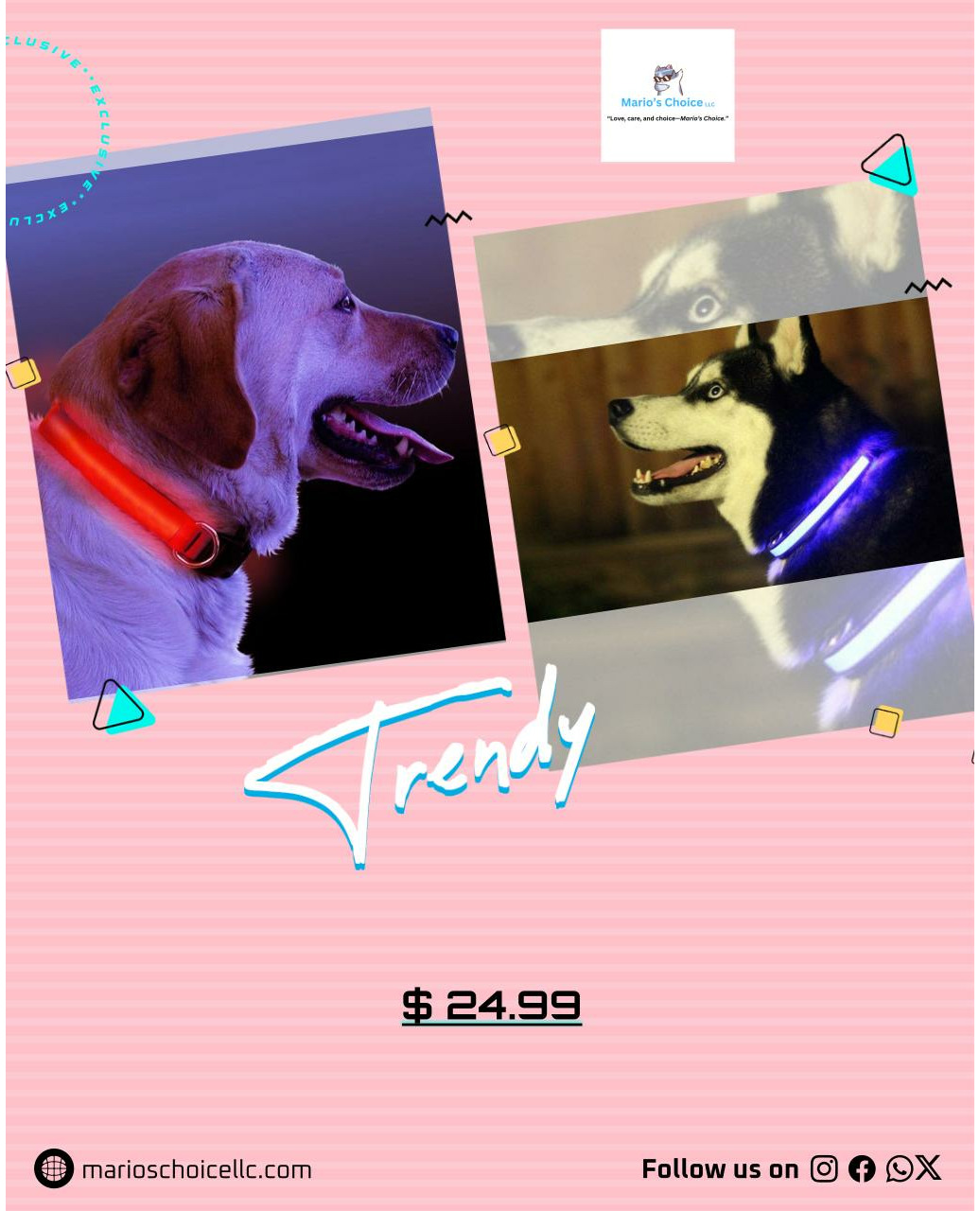 Unmissable deal! LED Light Up Dog Collar – Night Safety Rechargeable Pet Collar (Multiple Colors & Sizes), now at an incredible price of $24.99! Grab it now!
#dogsupplies #pettoys #petshop #petfashion #pethygiene #pethappiness #petadventures #petproducts #petlovers #pethealth