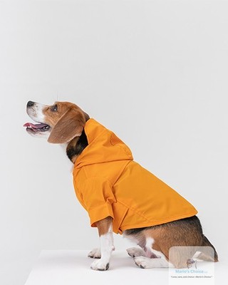 100% waterproof material keeps your pup protected from rain and wind while staying comfy and cute.

The adjustable Velcro fit works for dogs XS to XXL, so one coat fits your whole pack.

#DogRaincoat #PetFashion #WaterproofDogCoat #RainyDayReady