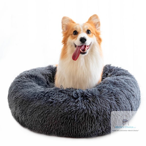 Your pet curls up in their cozy nest and finally lets out that deep, satisfied sigh.

Our Calming Donut Pet Bed wraps them in plush comfort while the raised rim gives them the security they crave. Perfect for anxious pups and cats who need their safe space—whether that's your couch, bedroom, or car.

Washable, lightweight, and designed for year-round coziness.

#PetBedForDogs #CatBedComfort #AnxietyRelief #PetComfort #Fluffy